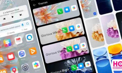 Download Huawei P60 series themes