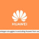 US Pentagon Huawei